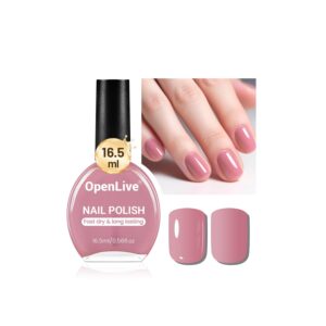 16.5ml Dusty Rose Nail Polish – Quick Drying Light Pink Nail Color, Long Lasting Finish for DIY Manicure & Nail Art